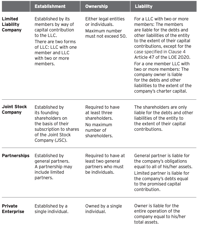 Types of companies in Vietnam 