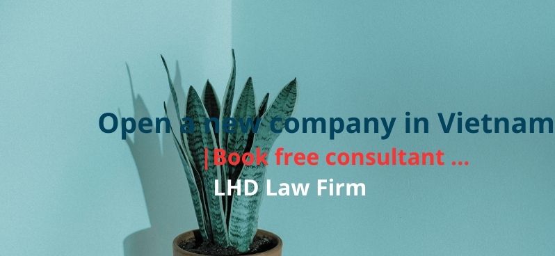 Set up business in Danang - LHD Law Firm