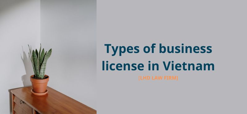 Types of business license in Vietnam - LHD Law Firm