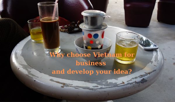 Why choose Vietnam for business and develop your idea?